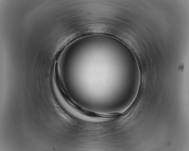 X0000091230397200708161720