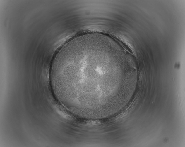 X0000091230398200708161720