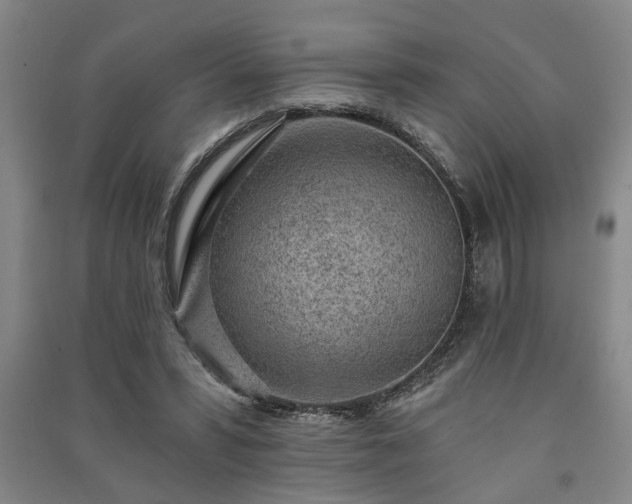 X0000091230399200708161720