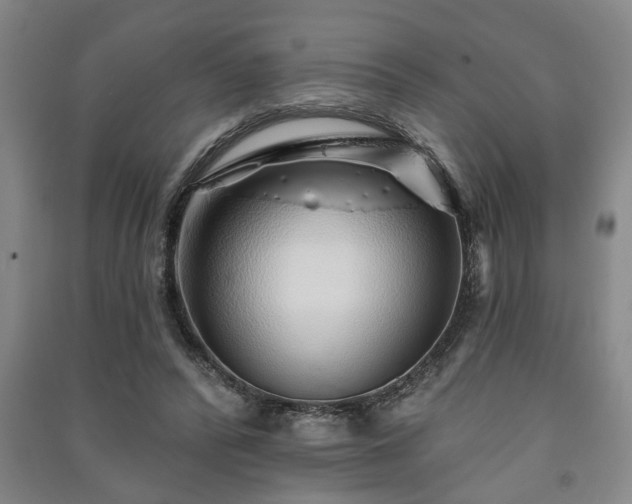 X0000091230400200708161720