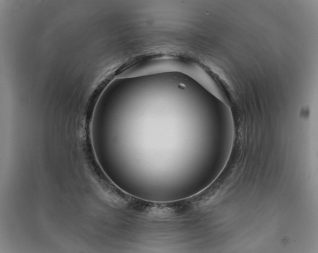 X0000091230403200708161720