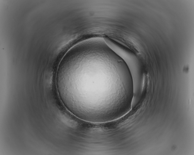 X0000091230404200708161720