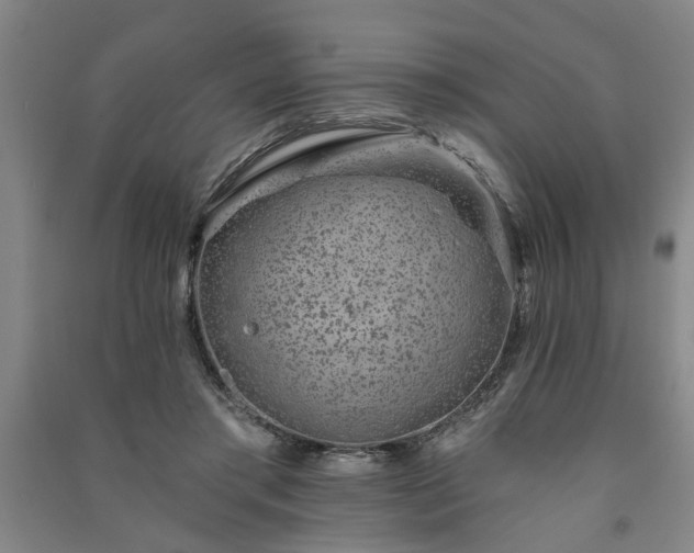 X0000091230405200708161720