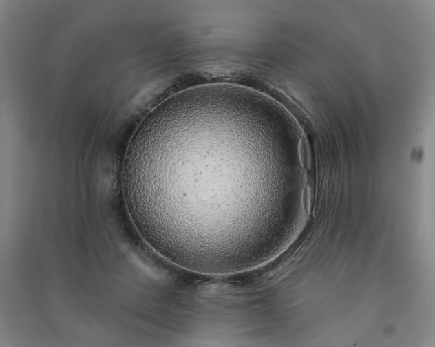 X0000091230408200708161720