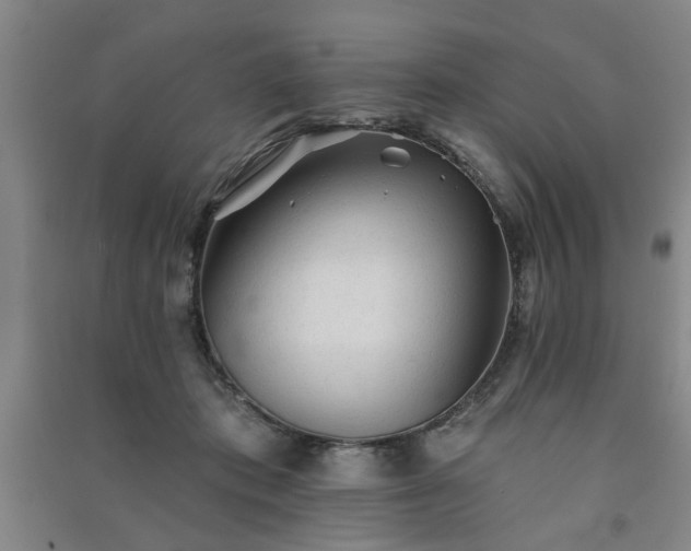 X0000091230413200708161720