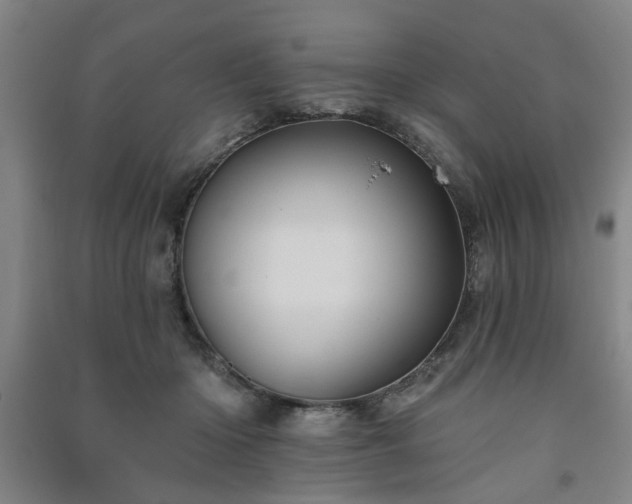 X0000091230414200708161720
