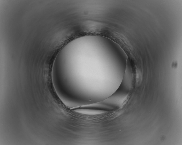 X0000091230416200708161720