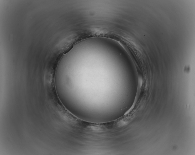 X0000091230417200708161720