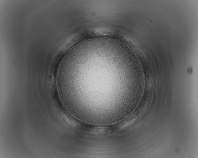 X0000091230418200708161720