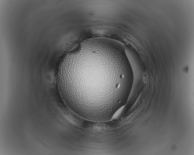 X0000091230420200708161720