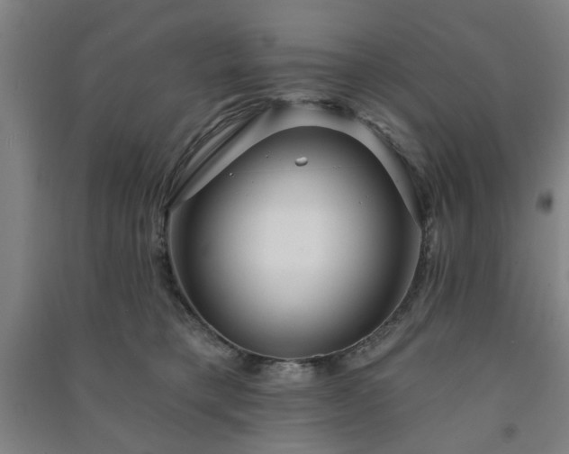X0000091230421200708161720