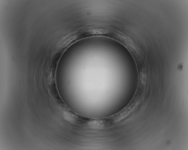 X0000091230422200708161720