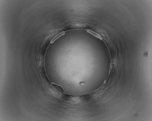 X0000091230423200708161720