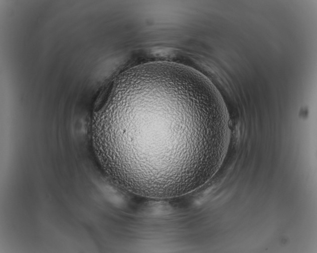X0000091230424200708161720