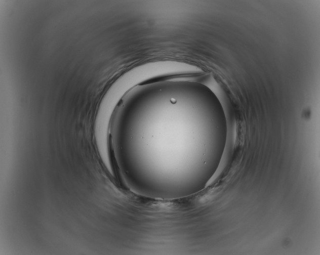 X0000091230428200708161720
