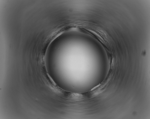 X0000091230429200708161720