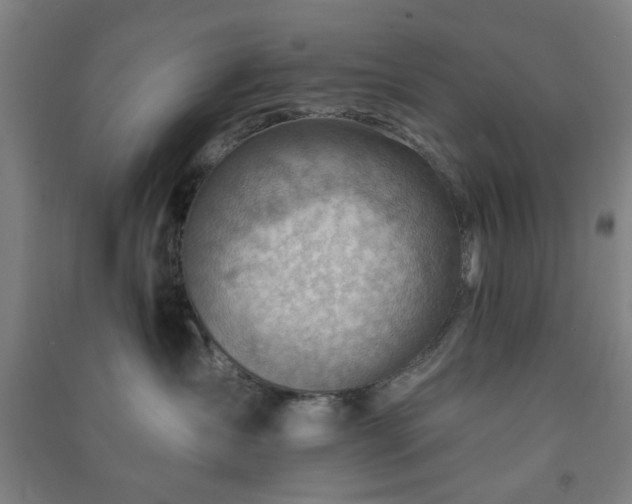 X0000091230431200708161720