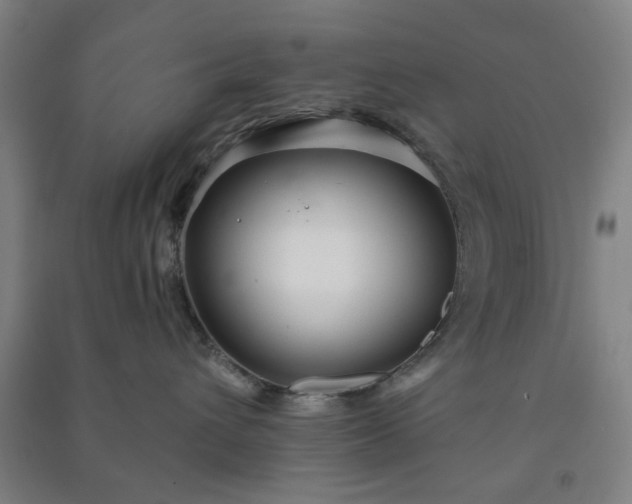 X0000091230432200708161720