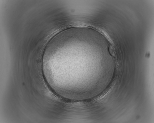 X0000091230433200708161719