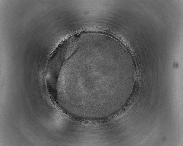 X0000091230434200708161719