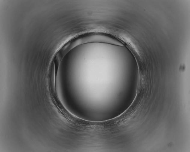 X0000091230436200708161719