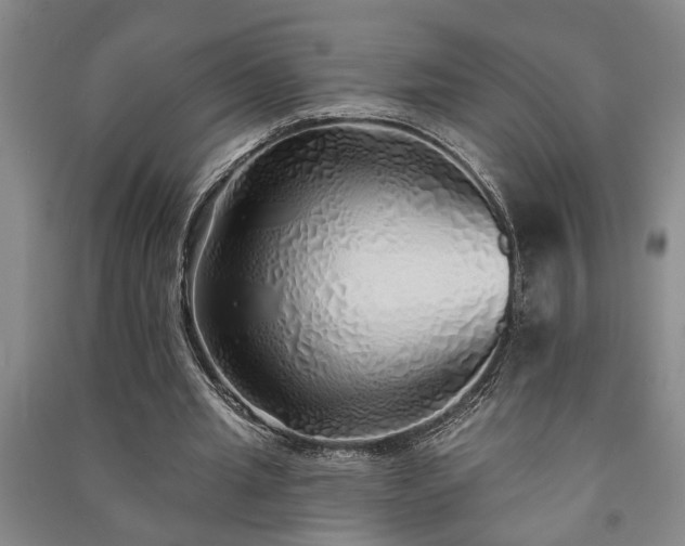 X0000091230437200708161719