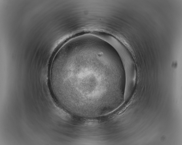 X0000091230438200708161719