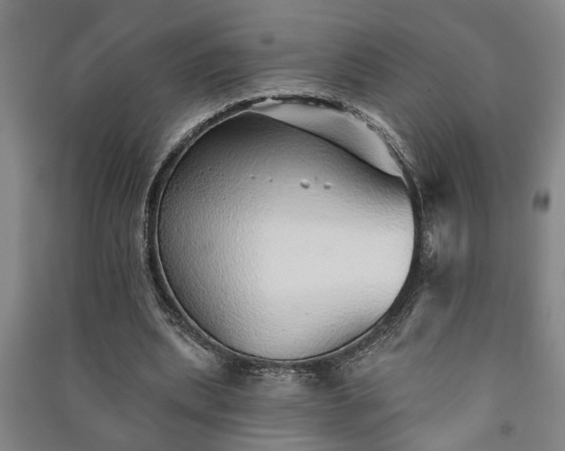 X0000091230439200708161719