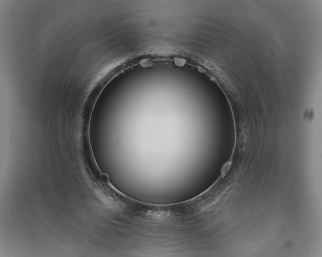 X0000091230440200708161719