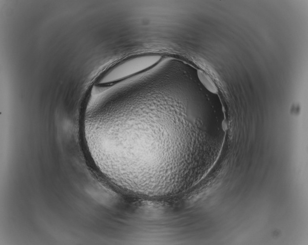 X0000091230442200708161719