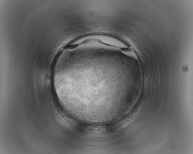 X0000091230443200708161719