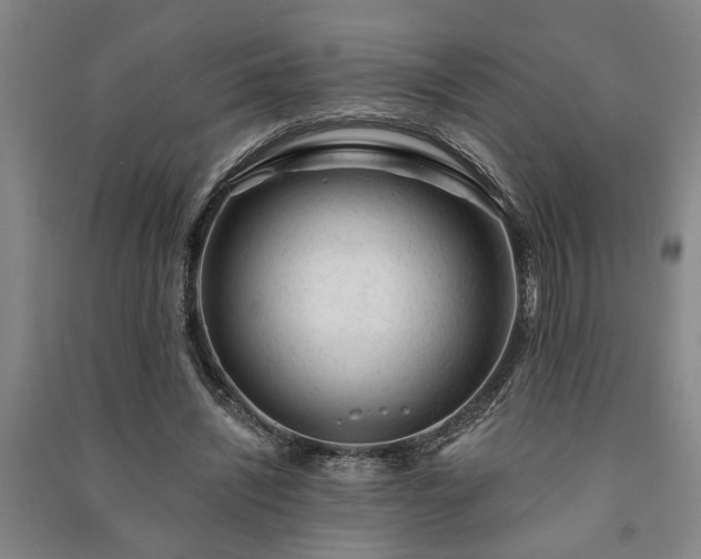 X0000091230444200708161719