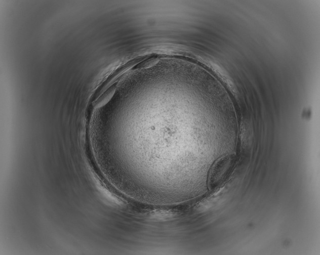 X0000091230445200708161719