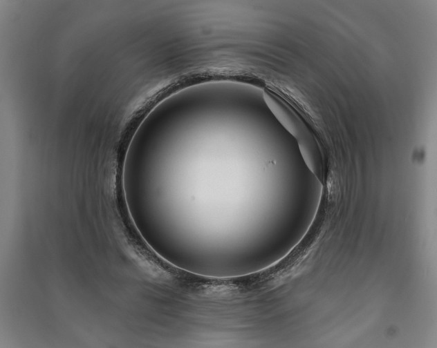 X0000091230446200708161719