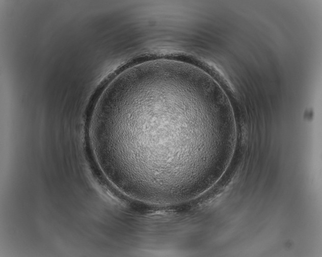 X0000091230447200708161719