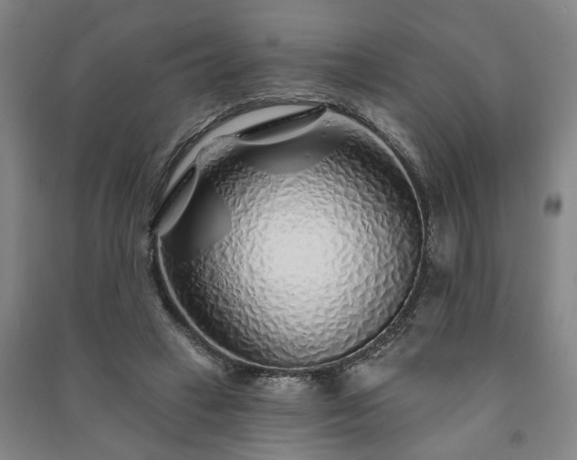 X0000091230449200708161720