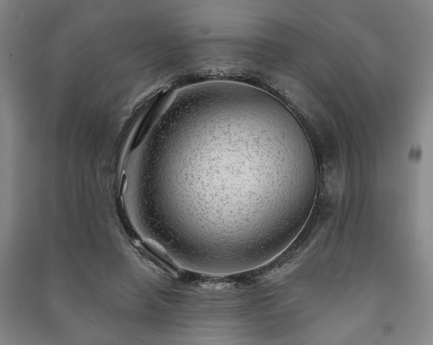 X0000091230450200708161720