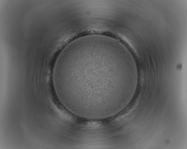 X0000091230451200708161720