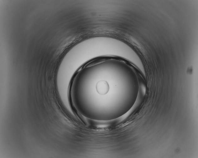 X0000091230452200708161720