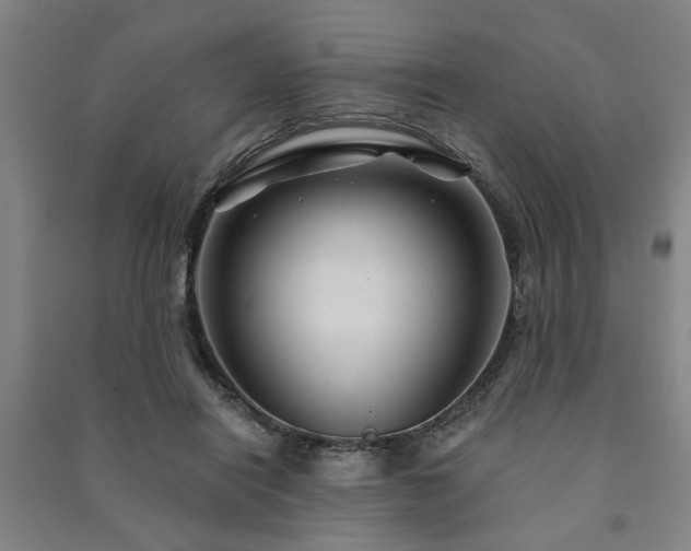 X0000091230454200708161720