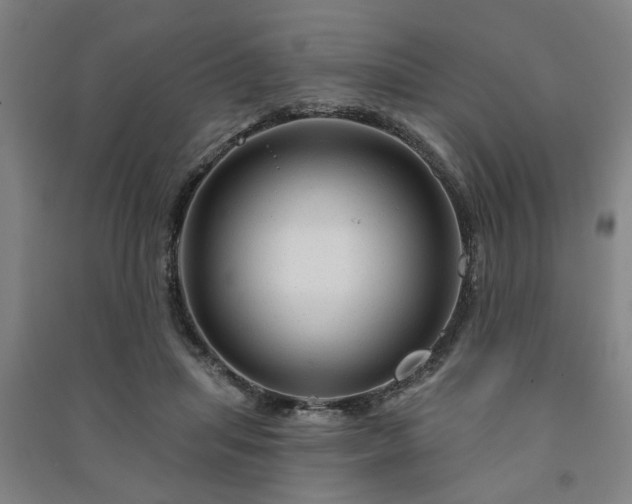 X0000091230455200708161720