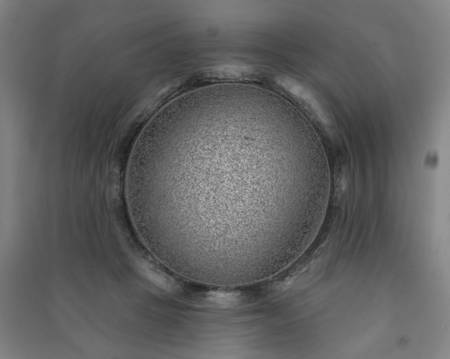 X0000091230457200708161720