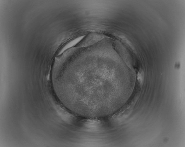 X0000091230458200708161720