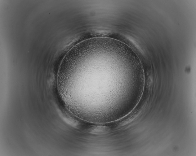 X0000091230459200708161720