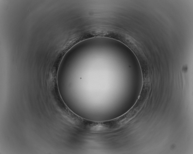 X0000091230460200708161720