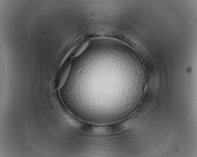 X0000091230461200708161720