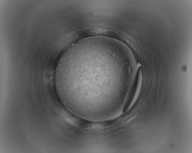X0000091230462200708161720