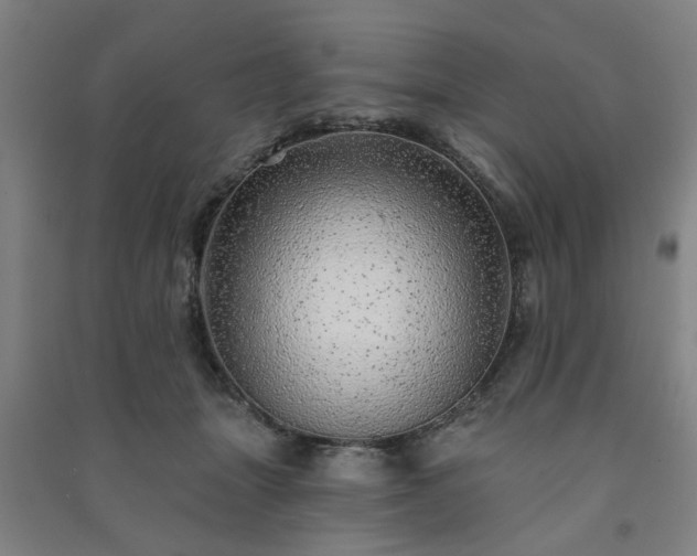 X0000091230463200708161720