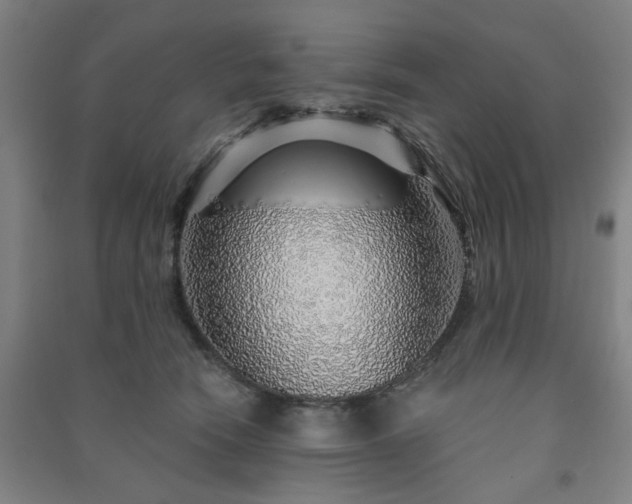 X0000091230466200708161720