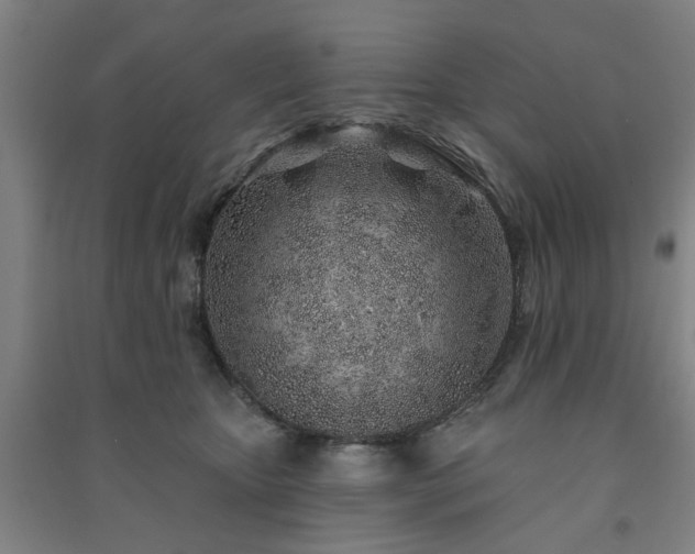 X0000091230467200708161720